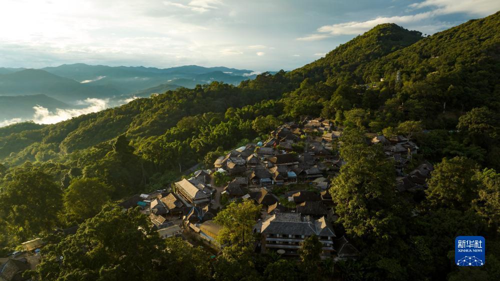 大同天下平台